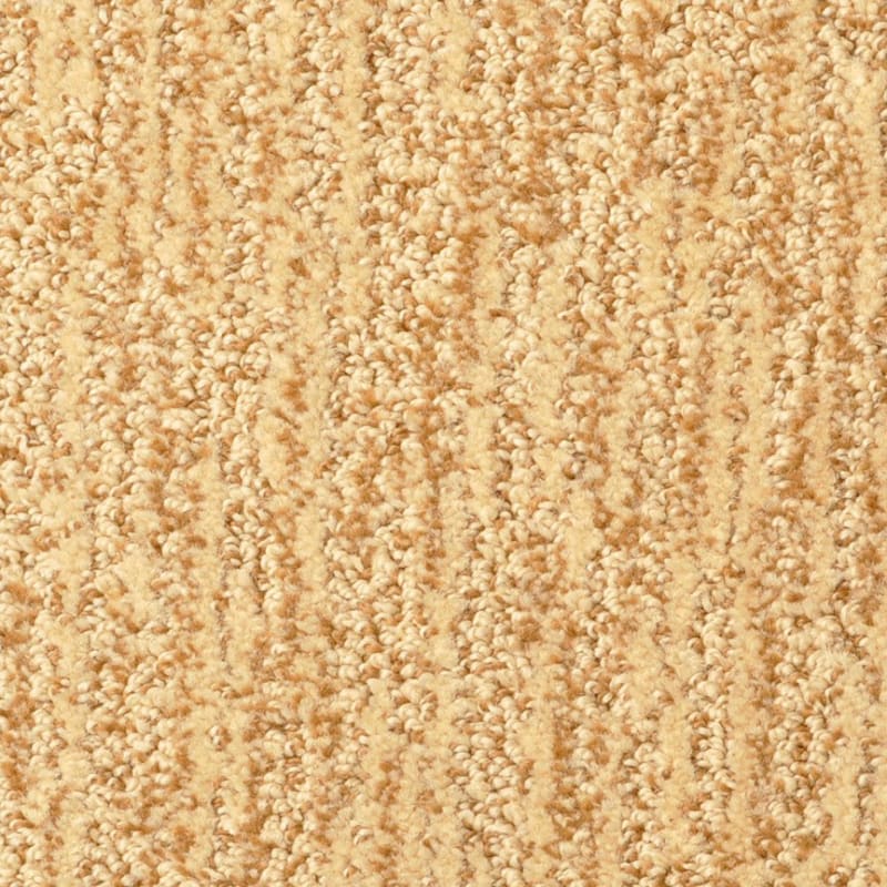 Mesa Verde carpet by Masland