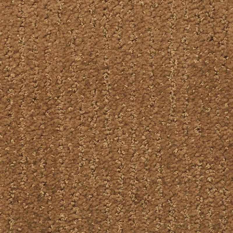 Nature'S Essence carpet by Masland