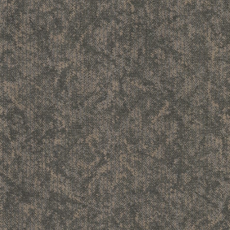 Coast carpet by Masland