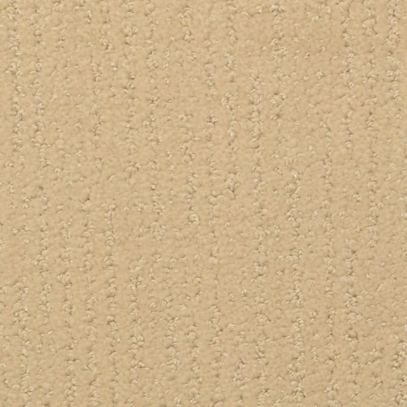 Nature'S Essence carpet by Masland