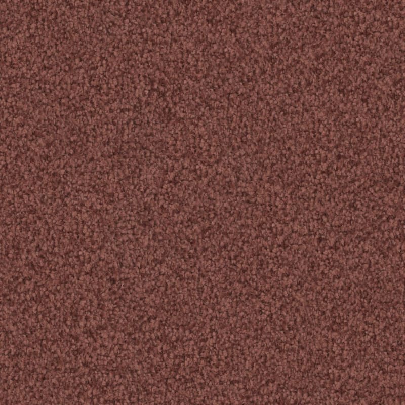 Santa Rosa carpet by Masland