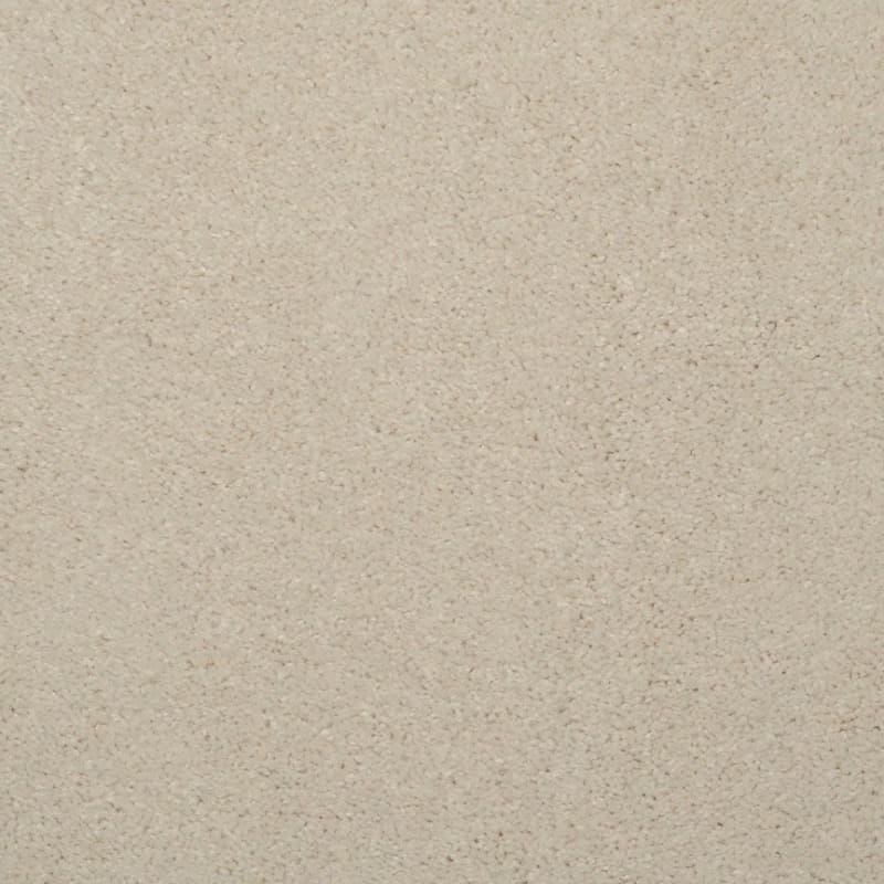 Embrace carpet by Masland