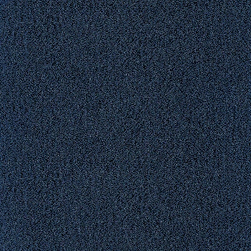 Panache carpet by Masland