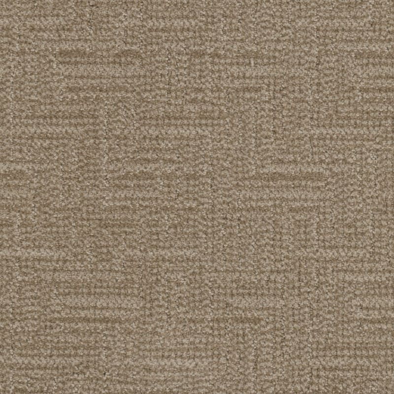 Prestigious carpet by Masland