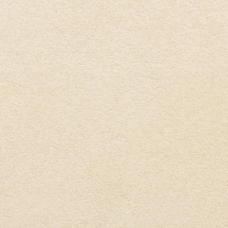 Knockout carpet by Masland