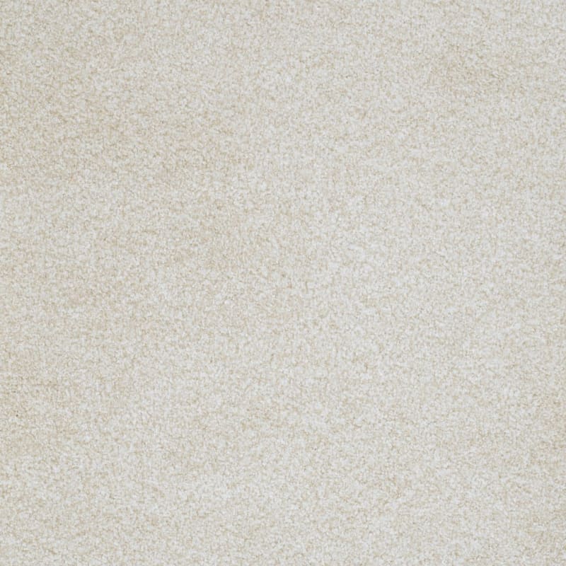 Boca Raton carpet by Masland