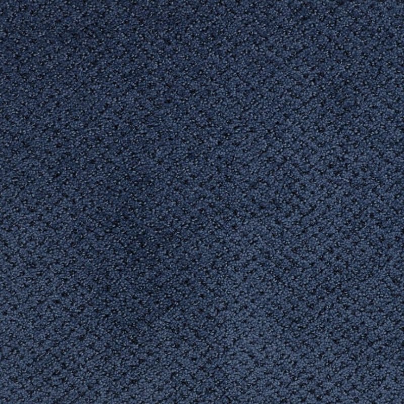 Montauk carpet by Masland