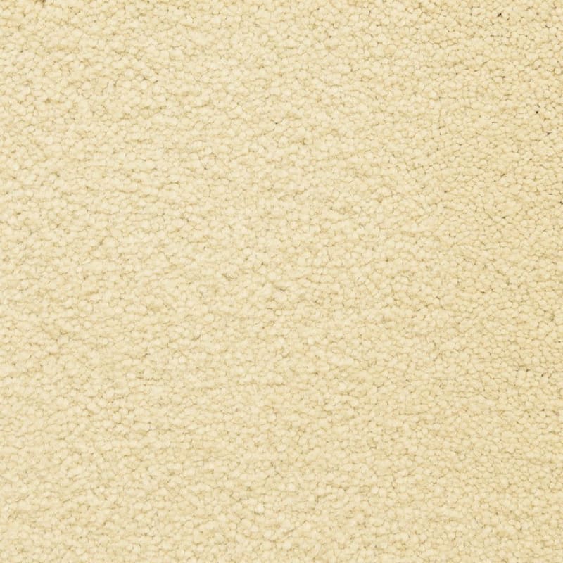 Ravishing carpet by Masland