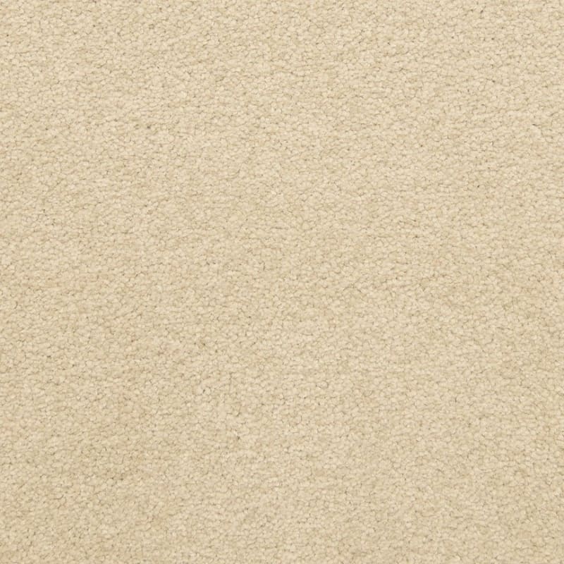 Patriot carpet by Masland