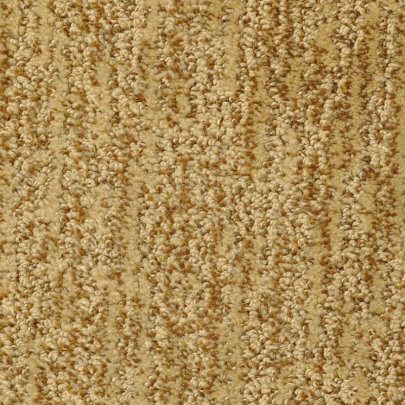 Mesa Verde carpet by Masland