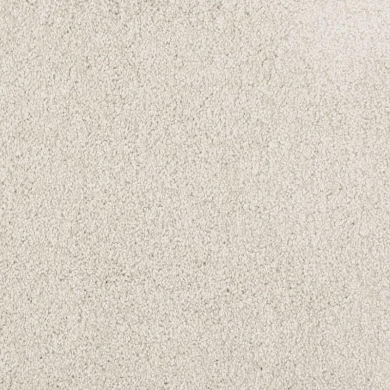 Miami carpet by Masland