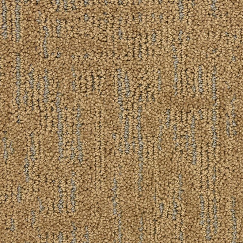 Ursa carpet by Masland