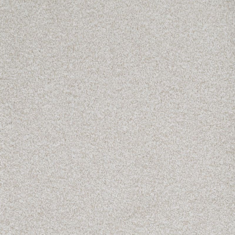 St. Augustine carpet by Masland