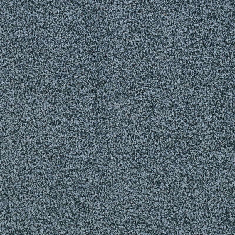 St. Augustine carpet by Masland