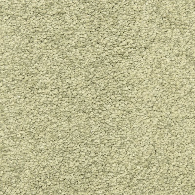 Morgan Bay carpet by Masland