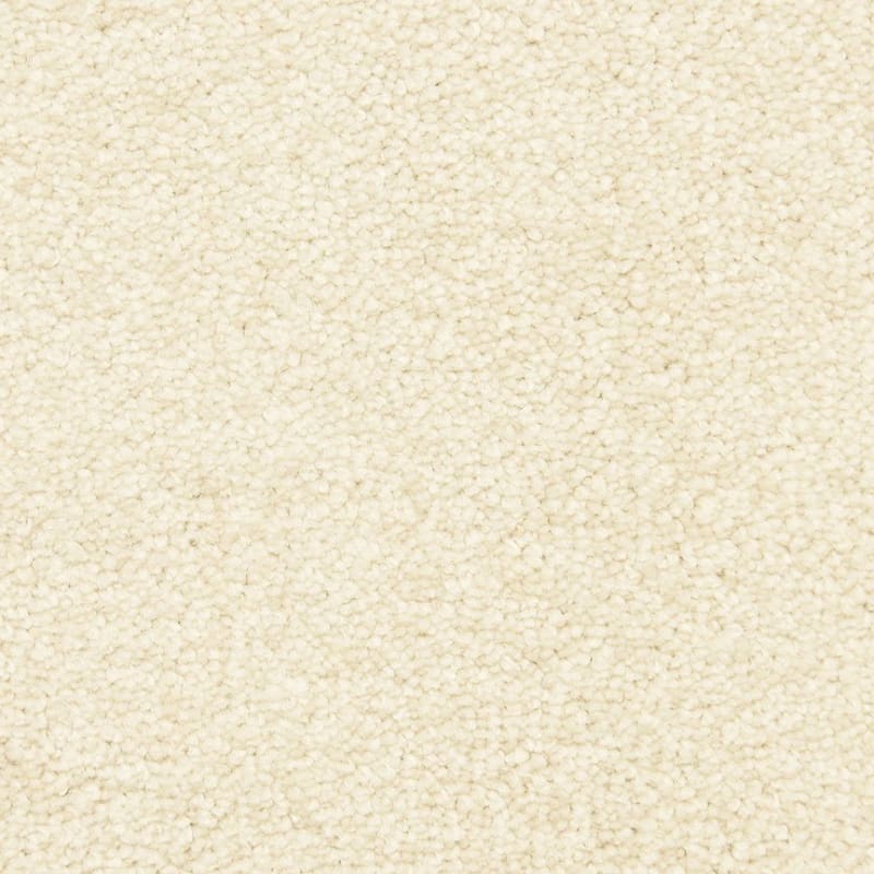 Morgan Bay carpet by Masland