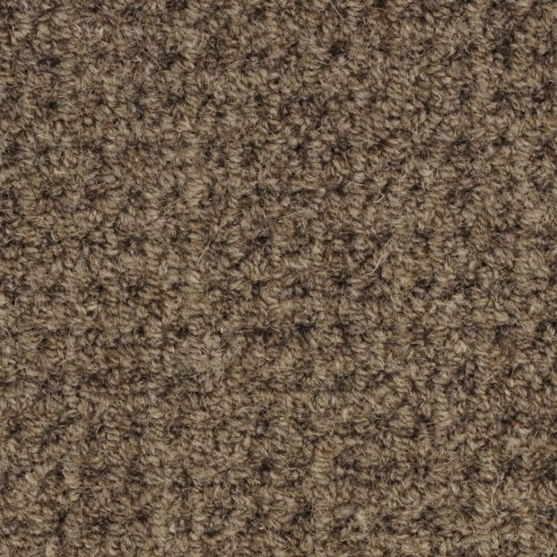 Etchings carpet by Masland