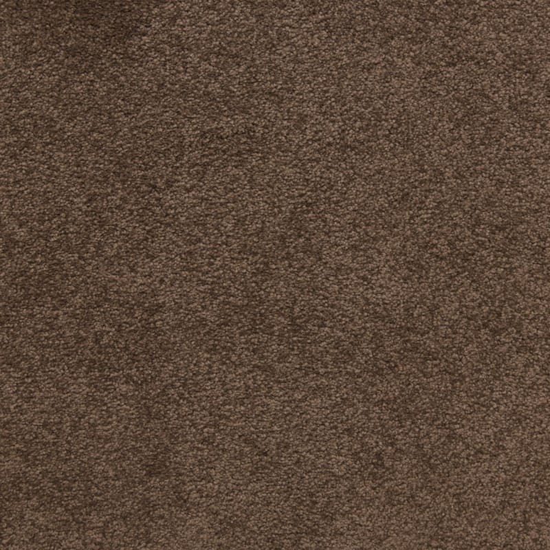 Knockout carpet by Masland