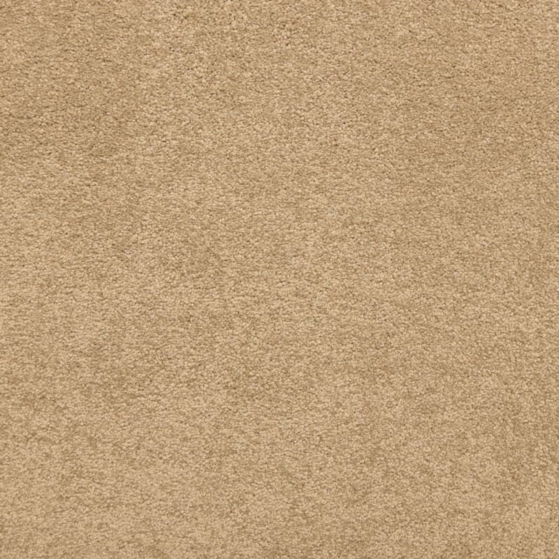 Knockout carpet by Masland