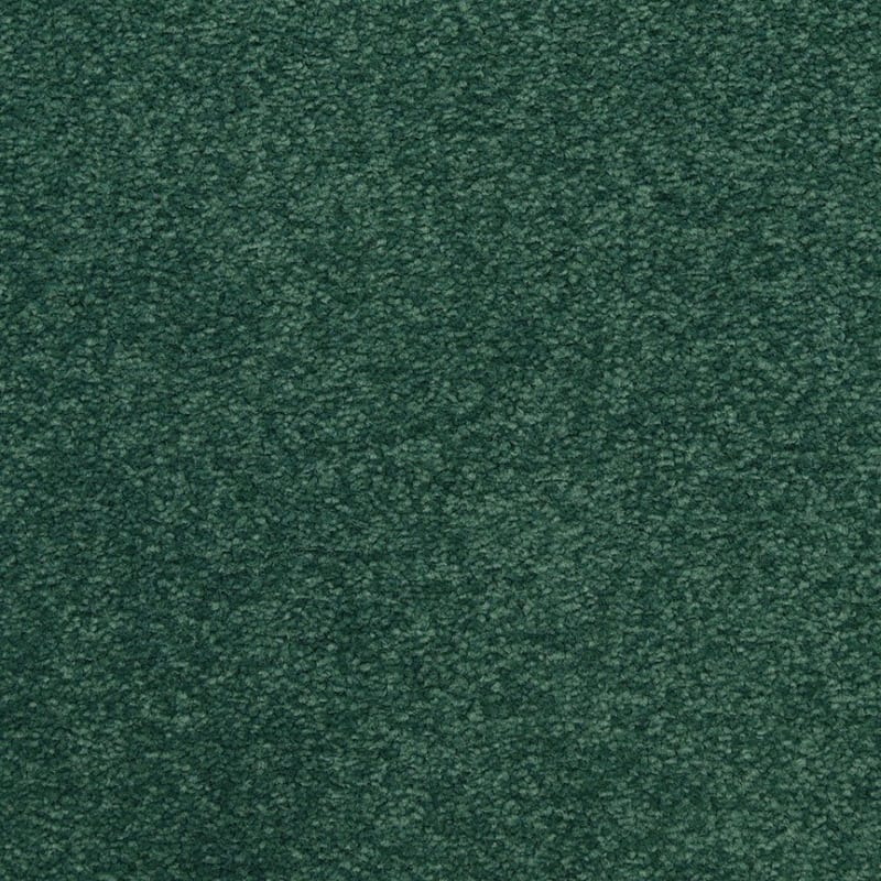 Patriot carpet by Masland