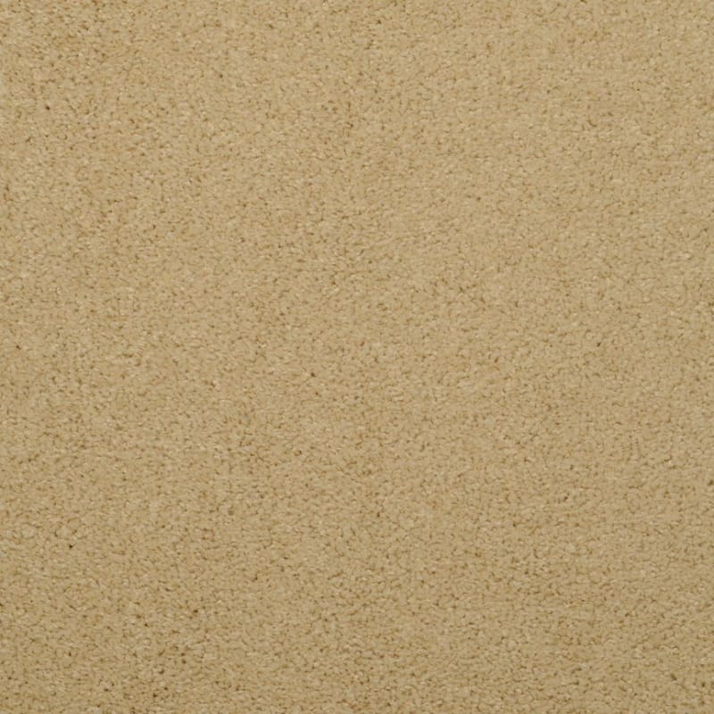 Embrace carpet by Masland
