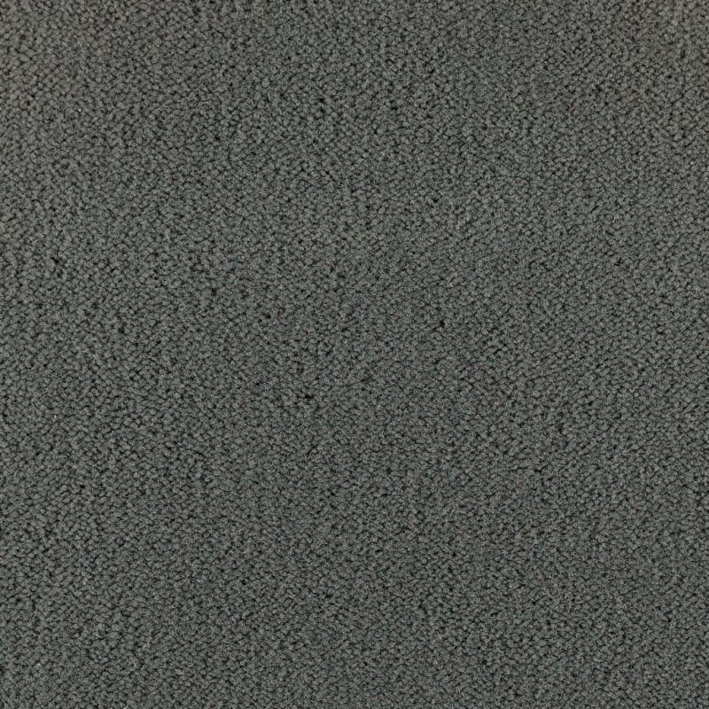 Panache carpet by Masland