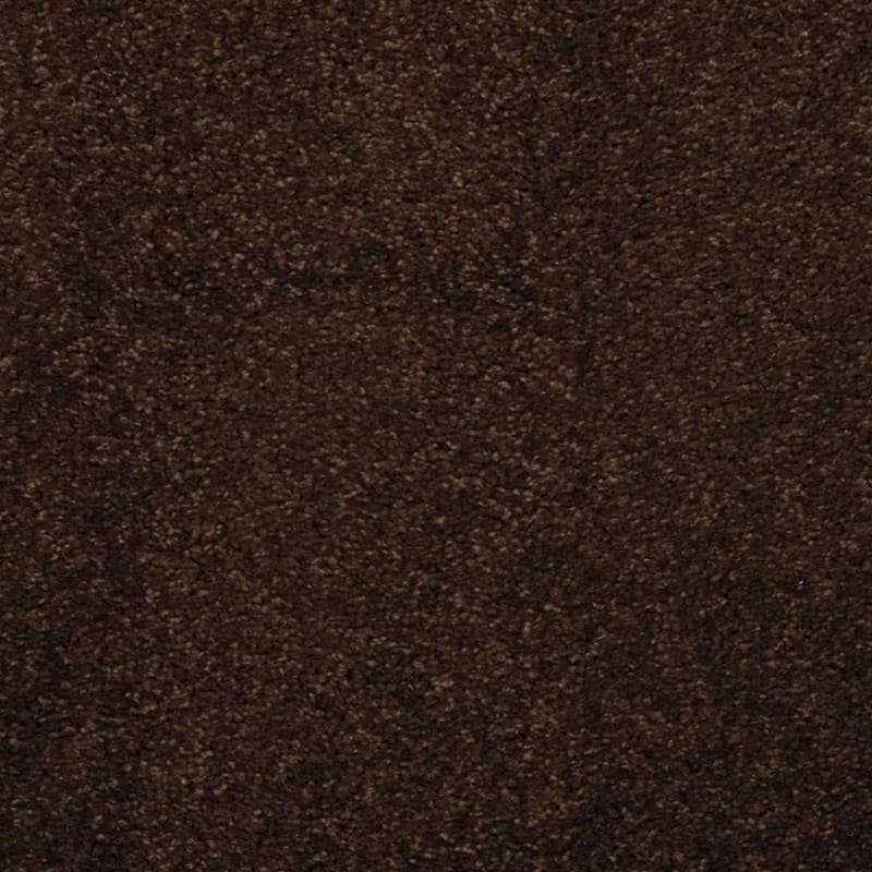 Embrace carpet by Masland