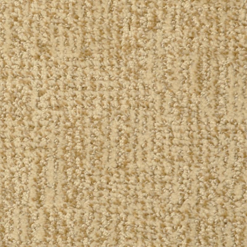 Casa Grande carpet by Masland