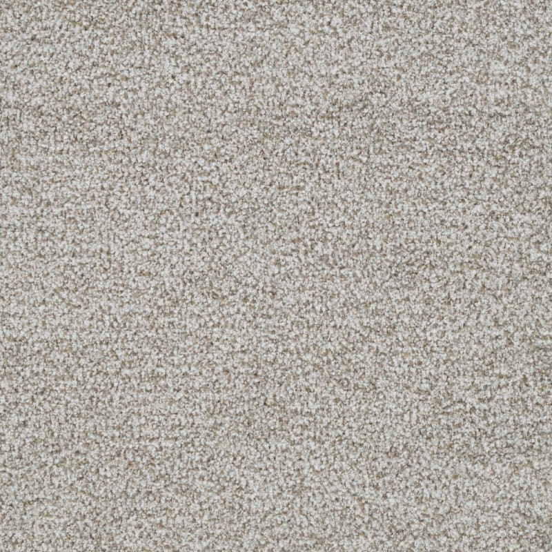 St. Augustine carpet by Masland