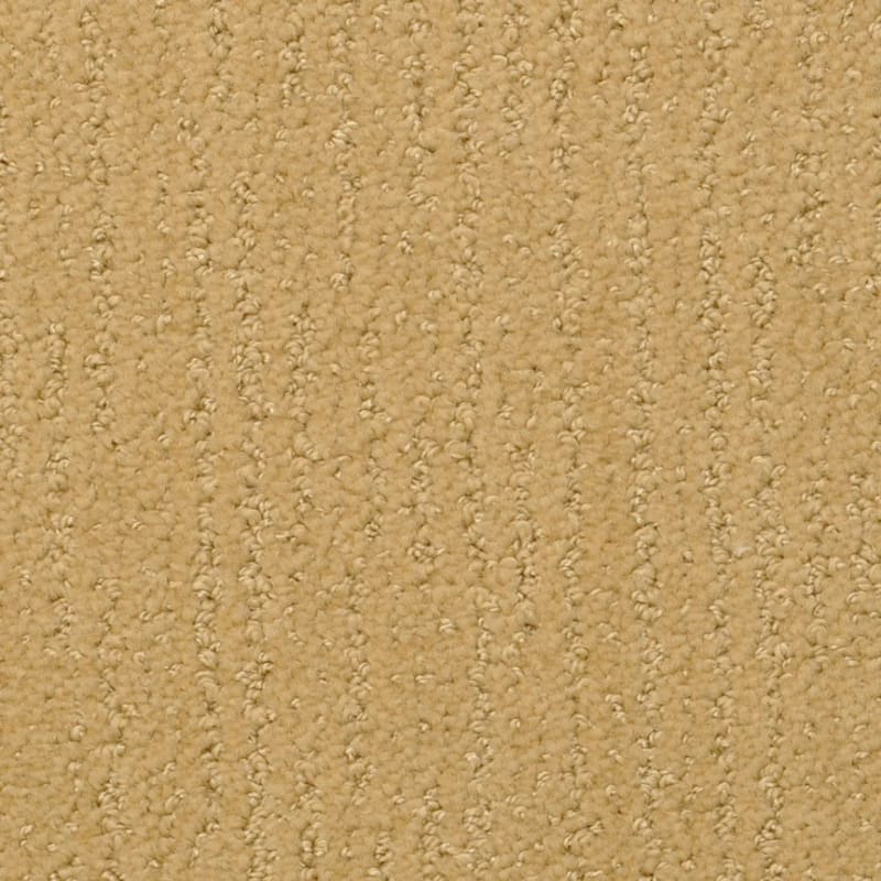 Nature'S Essence carpet by Masland
