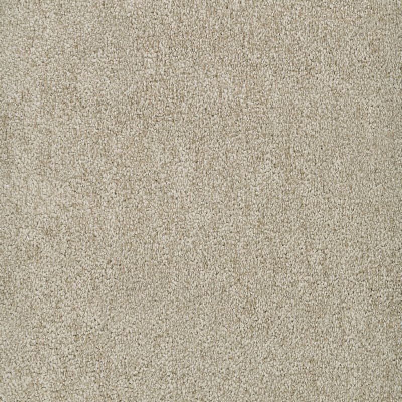Buena Vida carpet by Masland
