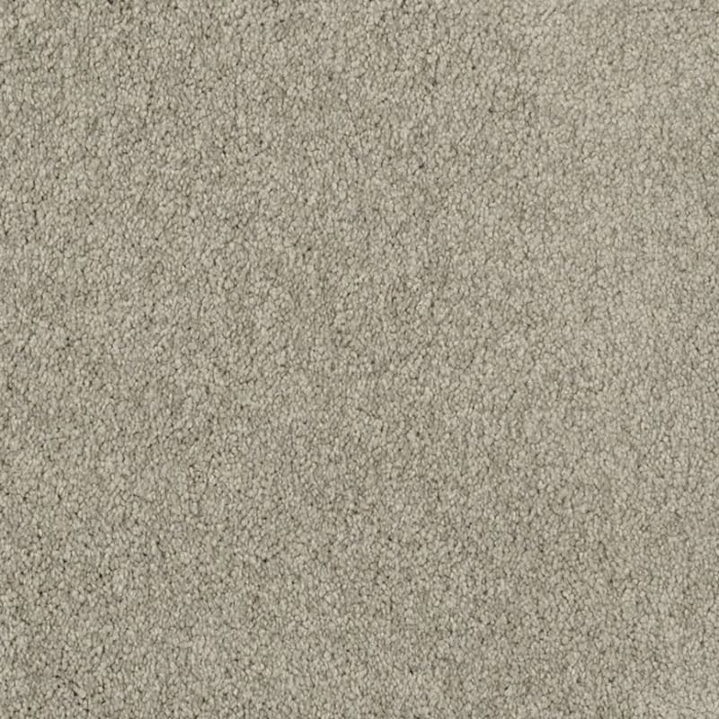 Miami carpet by Masland