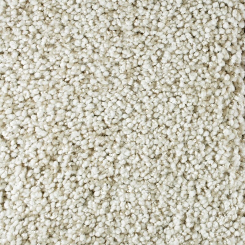 Shangri-La carpet by Masland