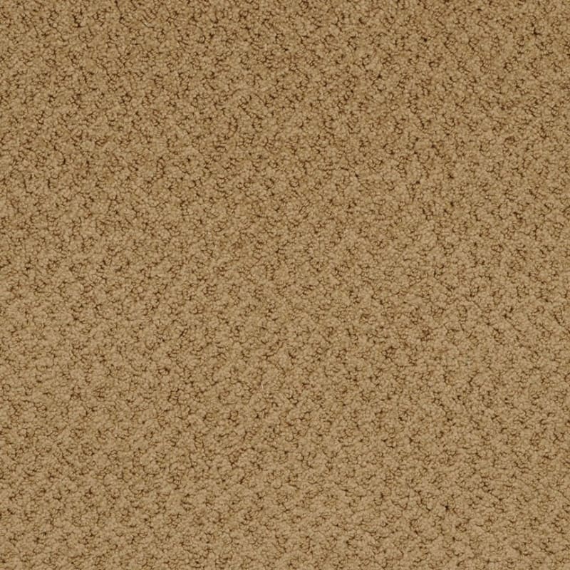 New Hope carpet by Masland