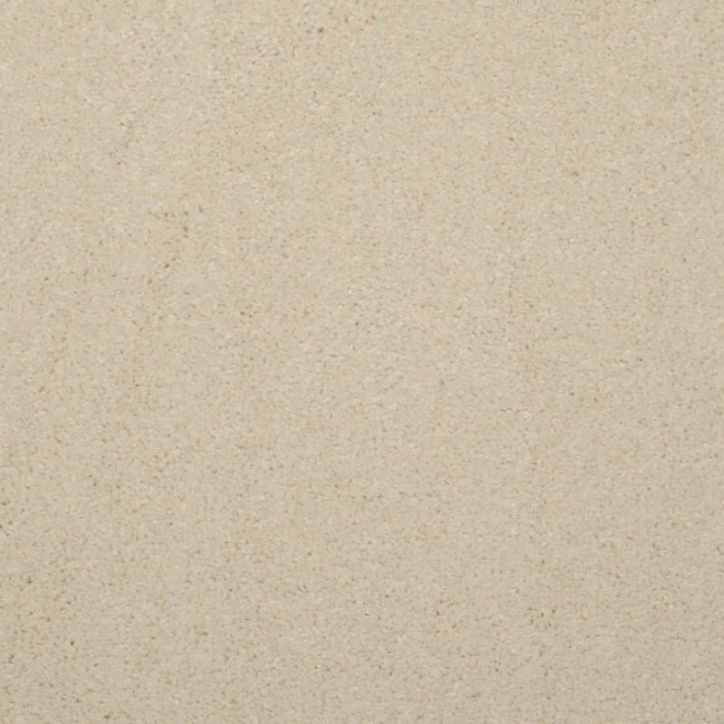 Embrace carpet by Masland