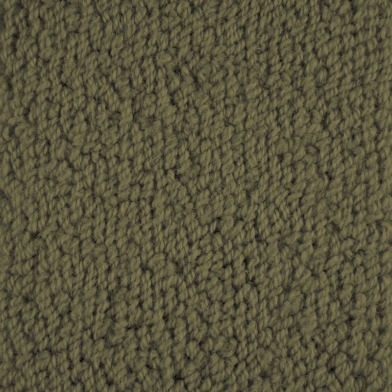Novellino carpet by Masland