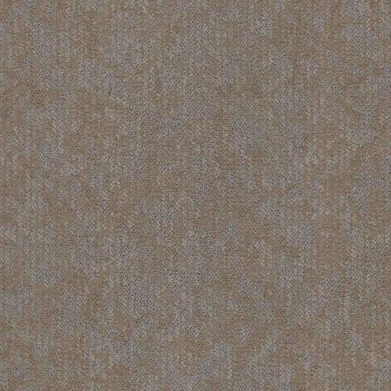 Coast carpet by Masland