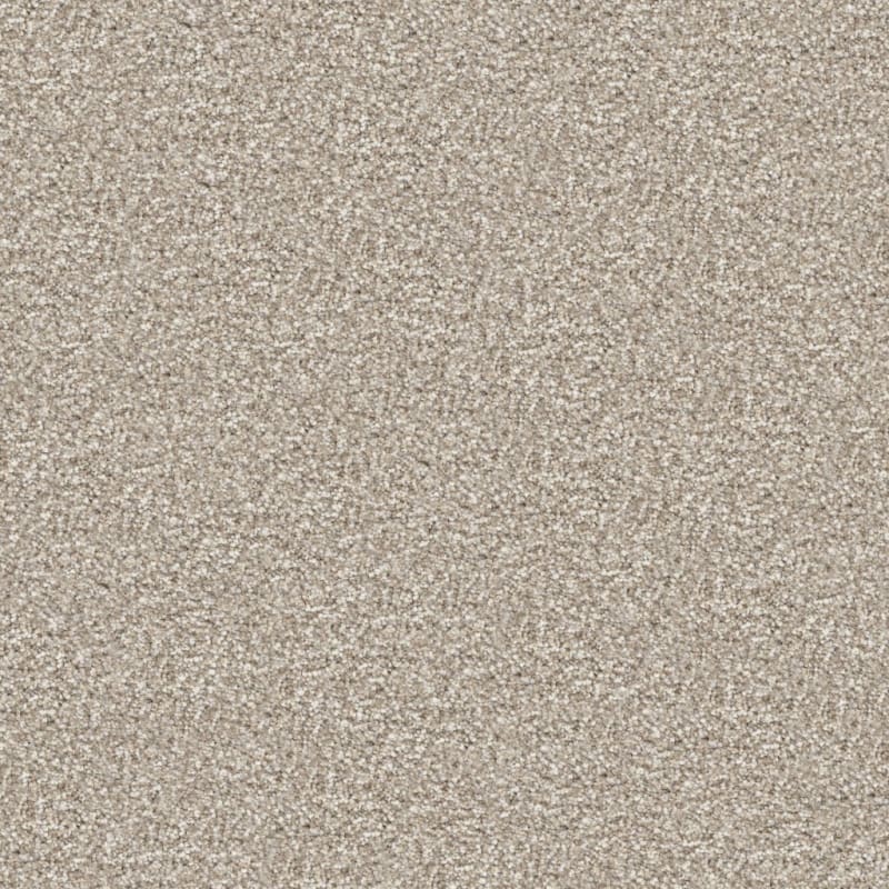 Tracker carpet by Masland