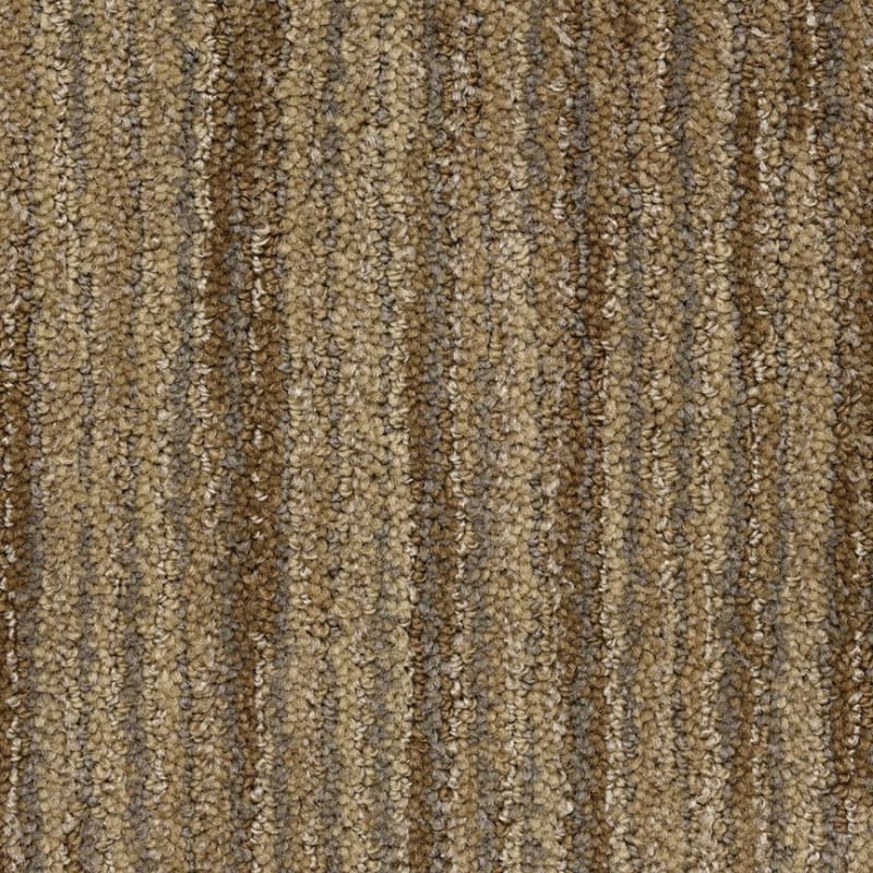 Vivacity carpet by Masland