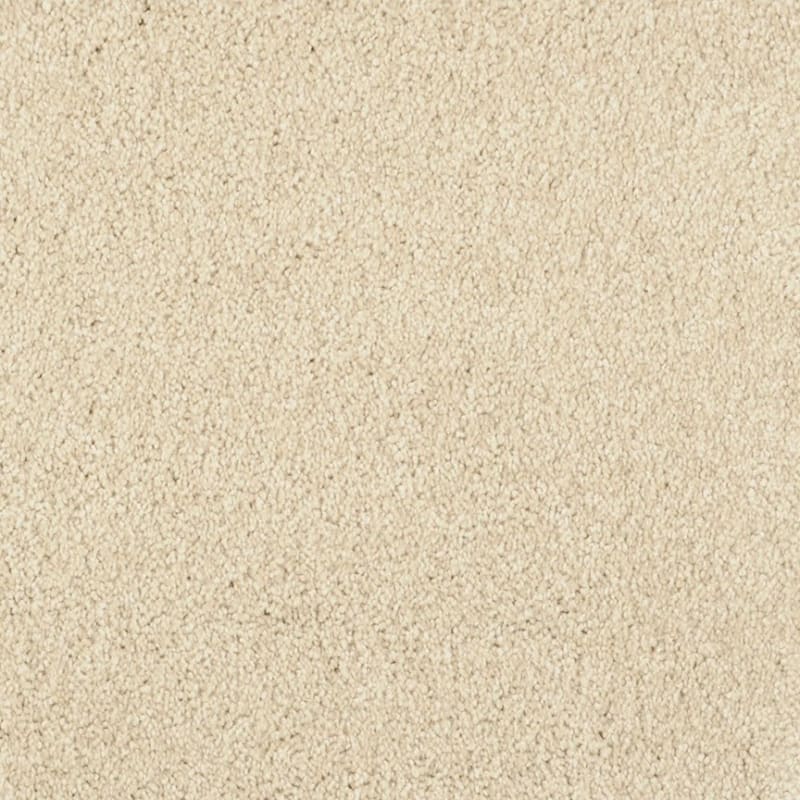 Miami carpet by Masland