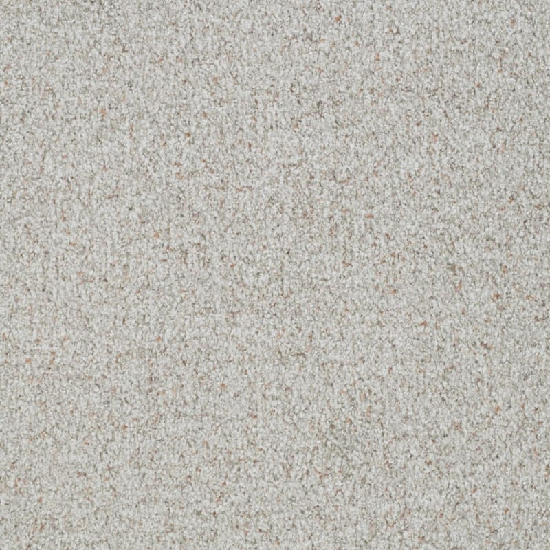 St. Augustine carpet by Masland