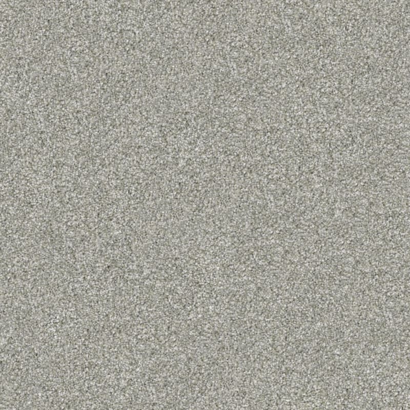 Tracker carpet by Masland