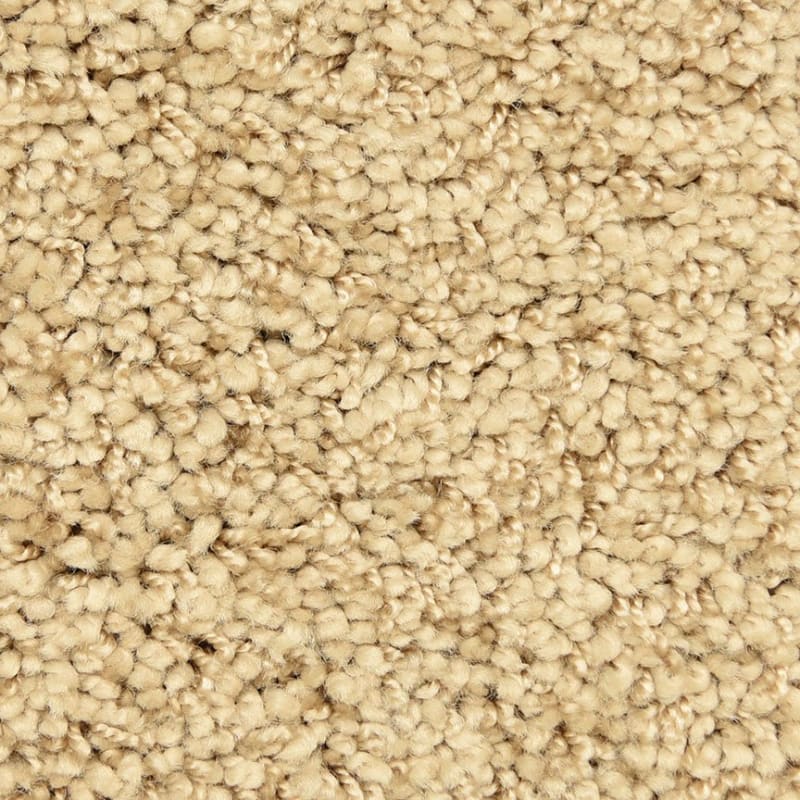Shangri-La Too carpet by Masland