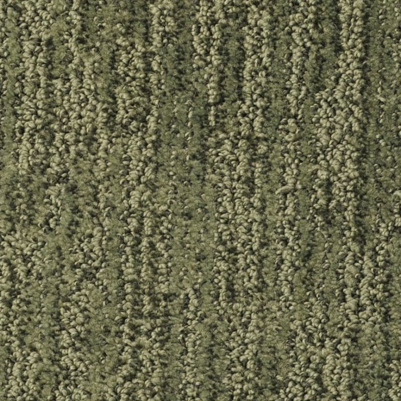 Mesa Verde carpet by Masland