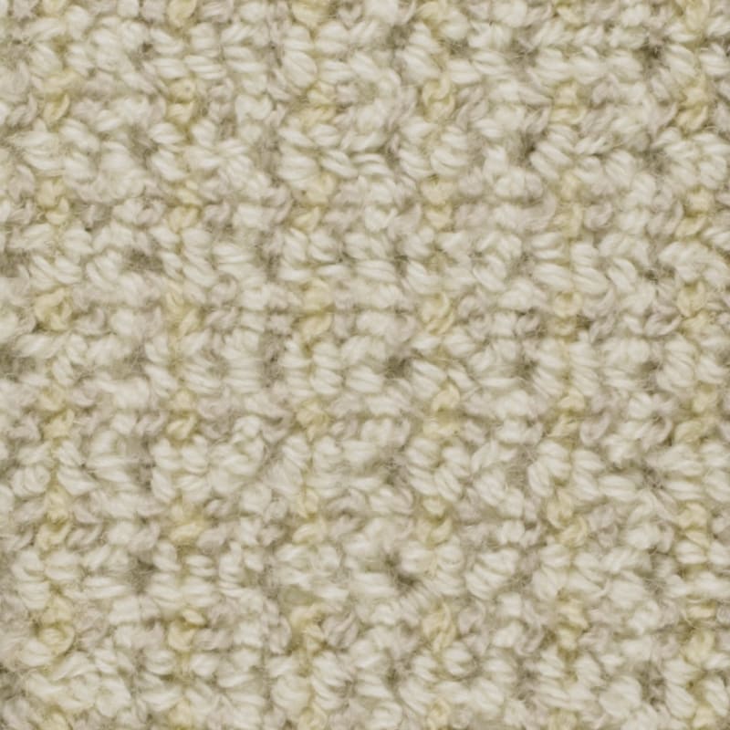 Tresor carpet by Masland
