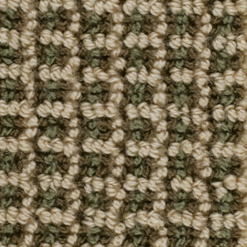Tresor carpet by Masland