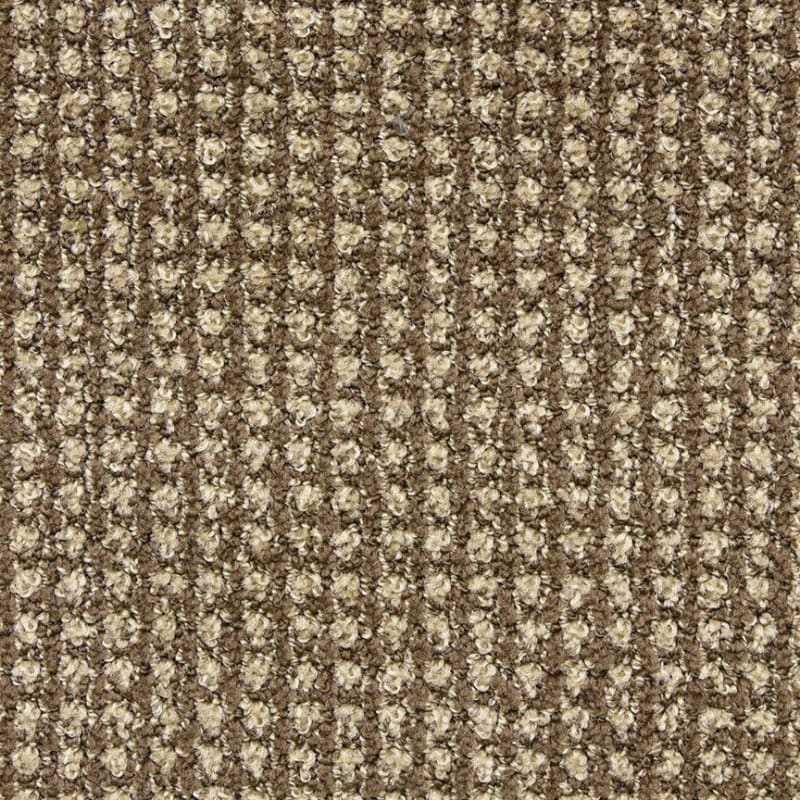 Alpha carpet by Masland
