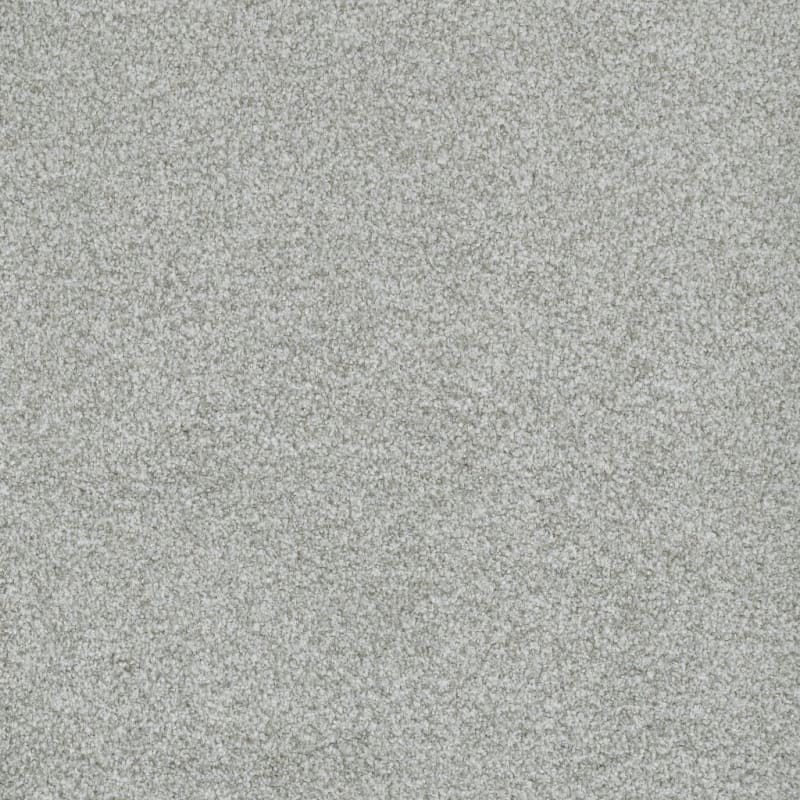 Boca Raton carpet by Masland