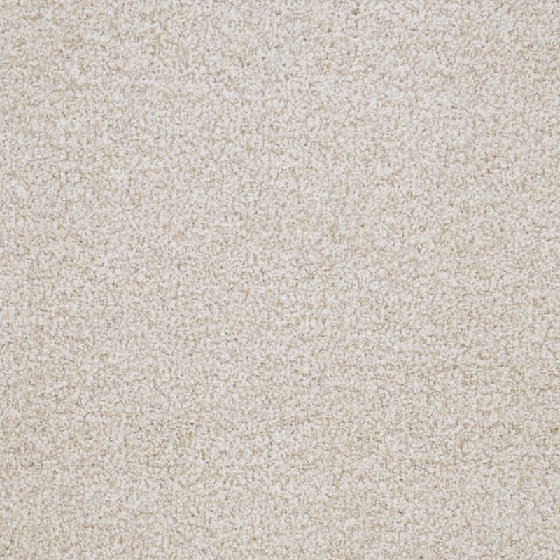 St. Augustine carpet by Masland