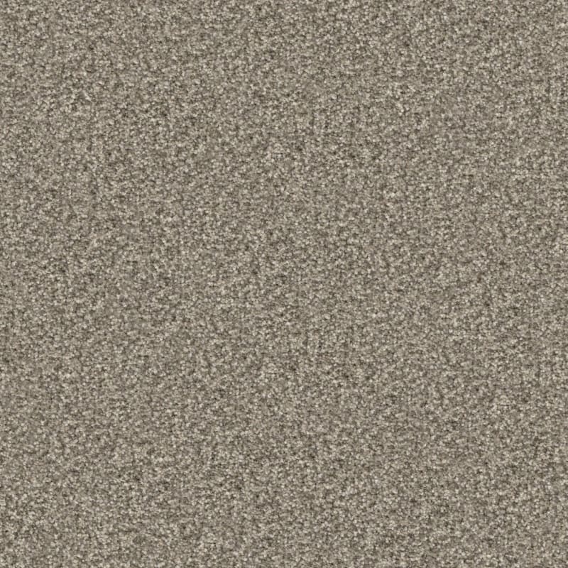 Tracker carpet by Masland